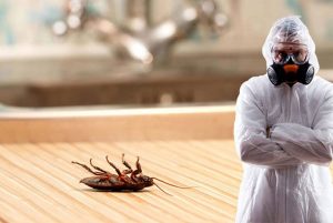 Эффективные методы обработки комнаты от тараканов
